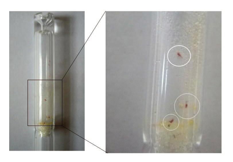 Kontaminace lineru Kontaminace lineru